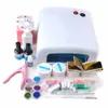 Set Großhandel 2016 Full 36W weiße UV -Lampe UV -Gel weiße Pinsel -Tipps Kleber Topcoat Reiniger plus Gel Remover Nagel Tipps Kits Tools Set Set