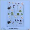Kalıp Çiçek Yaprakları Reçine Sticker Epoksi Kalıp Çerçevesi Dolgu Malzeme MTI Bitki Çiçekleri Scrapbook Çıkartmaları Takı Damlası Teslimat Dhgarden Dhrgh