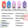 Original Bang bang vape king 15000 puff Disposable e hookah cigarette With Verified Code puff 15000 0% 2% 3% 5% Rechargeable Battery 20ml Device Vape thick pens green ecig