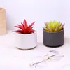 Decorative Flowers Simulated Succulent Plant Fei Huayu Ruiyun Ornamental Bonsai Color Artificial Potted