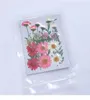 Small Real Dried Flower Dry Plants For Candle Epoxy Resin Pendant Necklace Jewelry Making Craft Diy A jllkuA6671117