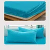 Coral Velvet Bedlaheet Bedstraste Milk Velvet Madrass Protective Cover Winter Plush Isolation Beddrag 231221