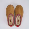 Tazz Slippers Australia Boots 디자이너 여성 태즈 만 스노우 겨울 양치부 부츠 플랫폼 모피 슬리퍼 여성 클래식 울트라 미니 스웨이드 울 발목 부츠 크기 EU 35-44