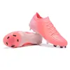 Scarpe da calcio di nuovi uomini Phantom Luna Elite FG Ic Bacchette stivali da calcio traspiranti Sneaker per adulti