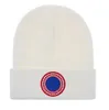 Knit Caps Luxury beanie Fall Winter Men's and Women's Cashmere classic embroidery Outdoor Ladies Beanies Hat R-10