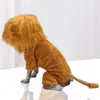 Hundkläder rockar jackor kostym husdjur cloy simulering lejon husdjur cosplay klänning upp hoodie katt för fest