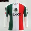 2019 Vidatierra Cycling Jersey Green White Red Mexico Pro Racing Team 내리막 저지 Go Pro MTB 저지 클래식 쿨 Domineering R213U