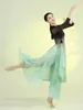 Stage Wear Costume de danse classique traditionnelle chinoise Vêtements nationaux Vêtements de pratique élégants Vêtements de performance Tenue de danseur