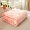 1pc Winter Milk Velvet Thickened Warm Bed Sheet Bedspread Single Double Soft Thin Fold Mattress Toppers Tatami Floor Quilted Mat 231221