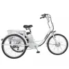 24 inch 3wiel elektrische driewielers Trike voor volwassenen 250W motor 48V elektrische fiets voor heren drie snelheidstransmissie