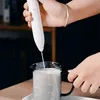 2 po en 1 USB RECHARGETY Electric Egg Beatter Mini Blender Whisky Coffee Mixer Gadgets For Home Double Head Milk Milk Baking Barker 231220