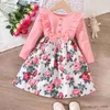 Girl's Dresses Girls' Autumn New Round Neck Lace Bow Spliced Print Long Sleeve Dress