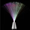 Colorful LED Optical Fiber Lantern Light Night Atmosphere Night Lamp With Battery Home Supplies Festival Atmosphere Wedding245F