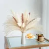 Fiori decorativi vaso bouquet set mini decorazioni pampa naturale erba | Wedding da tavolo boho secco