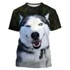 Erkek Tişörtleri Yaz Komik Evcil Köpek Husky 3D Baskı T-Shirt Moda Unisex Casual Harajuku Sokak Stil Yuvarlak Boyun Kısa Kollu T-Shirt