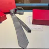 Designer pour hommes cravates à cravates de luxe Business Men Men de soie Party Neckwarear Cravate Cravate High Quality Neck Tie