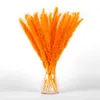 Decoratieve bloemen Pampas Grass Bouquet 30 stcs (wit 15 stks zwart 15 stcs) Reed Gedroogde plant set voor thuisbasis Decor en Gifting