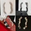 Frauen Designer Marke Brief Gold Plated Kupfer Messing Hochwertige Diamantperlenschmuck Charm Brosche Pin Marry Party Geschenk Accessorie Back