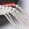 5A Calidad 100 Pearl blanca real Natural de agua dulce Forma de arroz cultivado cuentas sueltas de 36 cm de 311 mm Tamaño para joyas 231221