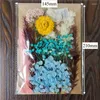 Decoratieve bloemen DIY Gedroogde hars Home Craft Real Hydrangea Eeuwige Life Roses Babysbreath vullingen Nail Art Mold Making Manual Tool