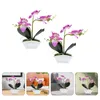 Simulation de fleurs décoratives Phalaenopsis Faux plante dans le pot de fausses plantes artificielles en pot émulées artificielles