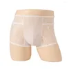 Underpants Transparent maschi da mastro Shorts boxer Borsa in pizzo sexy pantaloni angolari a bassa vita quattro ultra sottili