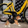 自転車犬のウォーカーハーネスリーシュペットウォーキングバイク調整可能な安全ロープ自転車牽引布231221