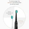 Fairywill Electric Sonic Toothbrush USB Charge FW507充電式防水電子歯ブラシ交換ヘッド大人231222