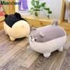 4050 cm Söt Shiba Inu Dog Plush Toy fylld Soft Animal Corgi Chai Pillow Christmas Gift for Kids Kawaii Valentine Present 231221