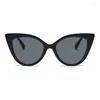 Lunettes de soleil vintage Cat Eye Femmes Men Big Frame Brand Designer Gradient Cateyes Sun Gernes UV400 Femme Leopard