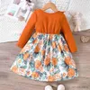 Girl's Dresses Girls' Autumn New Round Neck Lace Bow Spliced Print Long Sleeve Dress