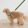 Ins impressão de urso nylon cão tira de peito filhote de estimação fofa de tração macia e durável, suprimentos para cães de passeio adequados para cães pequenos 231221