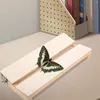 Frames Butterfly Wings Toy Insects Specimen Making Board Spreading Butterflies Tool Metal Display Experimental Supply