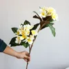 Dekorativa blommor Simulering av plastkonstgjord blommor dekoration 3D Känn Frangipani STOW Fönster Landskapsträdtransplantation