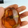 Seltener Amber Spinnen Amber Spinnen Anhänger243r