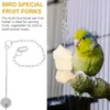 Other Bird Supplies Stainless Steel Food Holder With Chain Fruit Fork Hanging Skewer Feeder