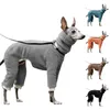 犬のアパレルペットの服小さな犬のための冬のワンズ
