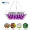Lampada leggera a LED a LED a spettro completo da 300 W per pianta alimentario interno fiore di frutta verdure idroponica Sistema coltiva in tenda fitolampy250j