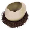 Bowls Bowl Snack Fruit Tray Container Rice Dry Holder Bird Nest Broken Egg For Counter Organizing