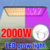 Plant Grow Light 2000W Flower Phyto Panel de crescimento LED LED de espectro completo FITO EU US UK Plug Veg 240 Lights2584