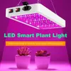 LED Grow Light 2000W 3000W double commutateur Phytolamp Lampe de croissance de la puce imperméable Spectre complet Box Box Indoor318l