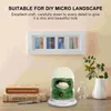 Vases Plant Protector Cover Plastic Cloche Dome Terrarium Bell Jar Brick Glass Bottle For Garden