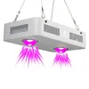 CF Grow 300W COB LED Grow Light Full Spectrum Indoor Hydroponic Greenhouse Plant Growth Lighting Replace UFO Growing Lamp305J