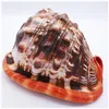 12-17 cm coquilles de mer orange naturels Snail Snail's-bouche casque conch décor de la maison décorations de plage collectionnebles paysage aquarium 231222