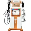 10 sur 1 équipement de beauté multifonctionnel Salon Personnel Machine de visage cutané REJUNNUATION FACIALS HYDRO MACHINE