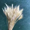 زهور زخرفية 50pcs طبيعية القمح القمح باقة زهرة باقة بوهو ديكور المنزل الاصطناعية لديكور زفاف المطبخ الحرفي DIY