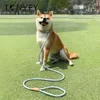 Nylon Dog Traction Rope for Medium Large Pet Dog Walking Training P Chain Collar Dog Leash Easy Control Adjustable Pet Supplies 231221