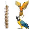 Other Bird Supplies Stainless Steel Parrot Feeder Food Fruits Vegeteable Basket Cotaniner Holder Feeding Device Cage Foraging Toy