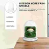 Vases Plant Protector Cover Plastic Cloche Dome Terrarium Bell Jar Brick Glass Bottle For Garden