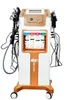 10 sur 1 équipement de beauté multifonctionnel Salon Personnel Machine de visage cutané REJUNNUATION FACIALS HYDRO MACHINE